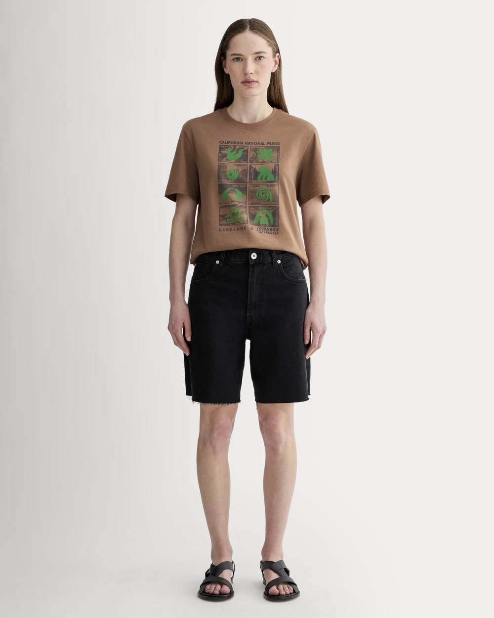The Everlane x Parks Project Essential Organic Crew | Brown / Green / Forged Iron - Image 7