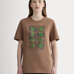 The Everlane x Parks Project Essential Organic Crew | Brown / Green / Forged Iron