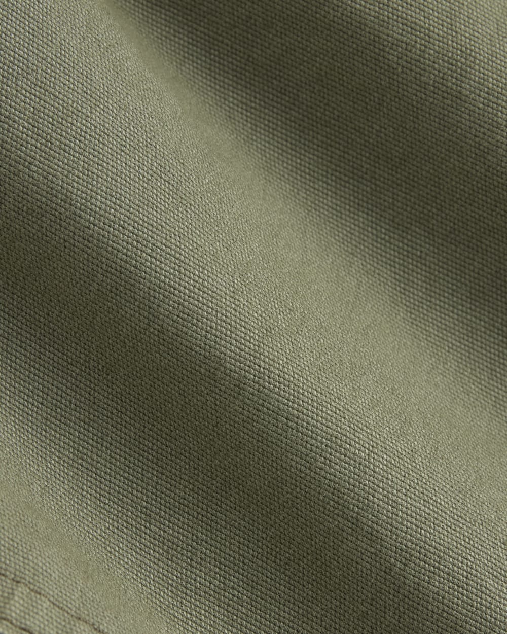 The Canvas Relaxed Short | Lichen Green - Image 6