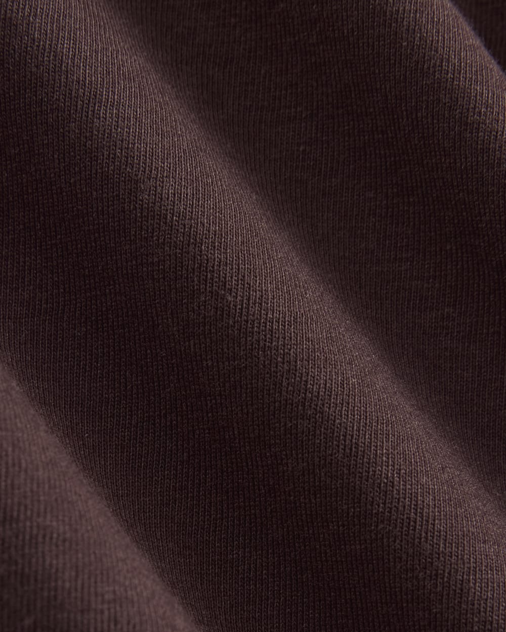 The Slim Long-Sleeve Crew in Essential Cotton | Dark Chocolate - Image 2